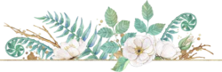 手绘植物花草边框装饰元素