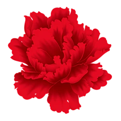红色牡丹花花朵PNG免抠素材