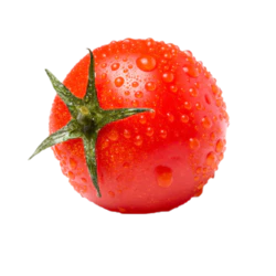 红色新鲜带水滴的西红柿免抠实物素材免费下载