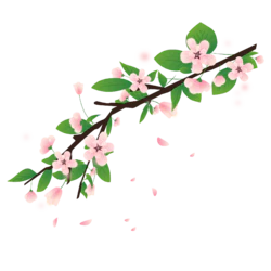 春季樱花树枝花瓣飘落手绘装饰素材