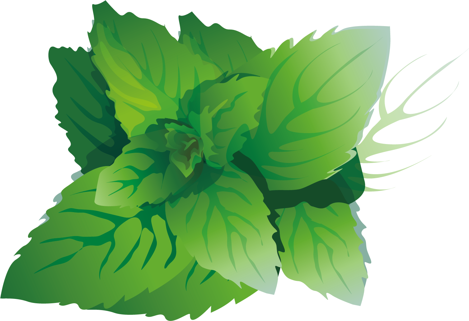 翠绿白菜卡通手绘蔬菜3D俯视矢量元素