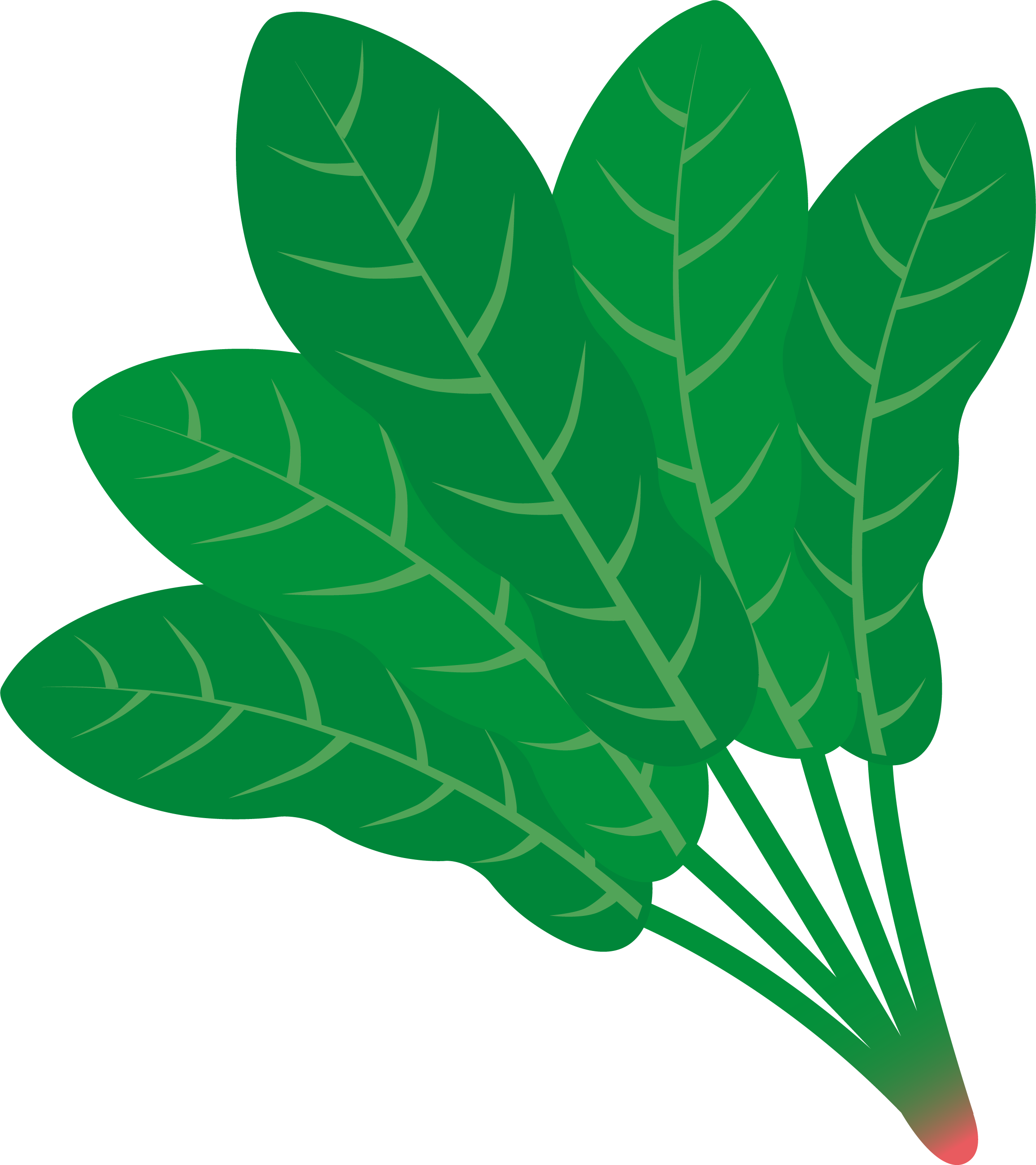 深绿叶子菠菜农作物PNG免抠素材免费下载