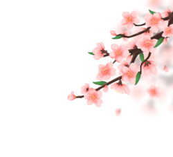 春天桃花手绘桃枝装饰素材免抠元素