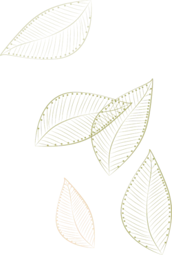 线稿纹路漂浮树叶矢量元素