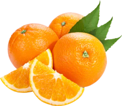 新鲜橙子切面设计素材