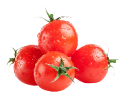 带水珠西红柿新鲜水果实物素材
